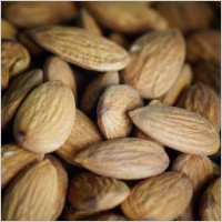 almond_nuts_food_237445[1]