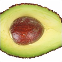 avocado_188851[1]